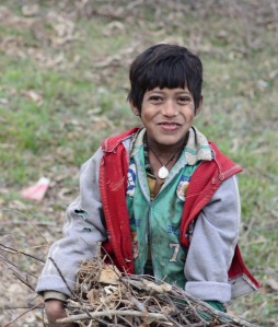 boy collecting firewood