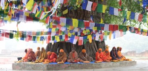 monks under tree, Lumbini